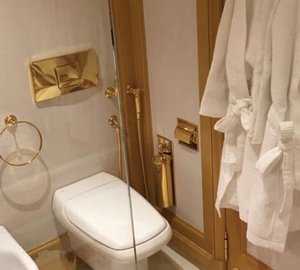 Bathroom Toilette With Gold Details