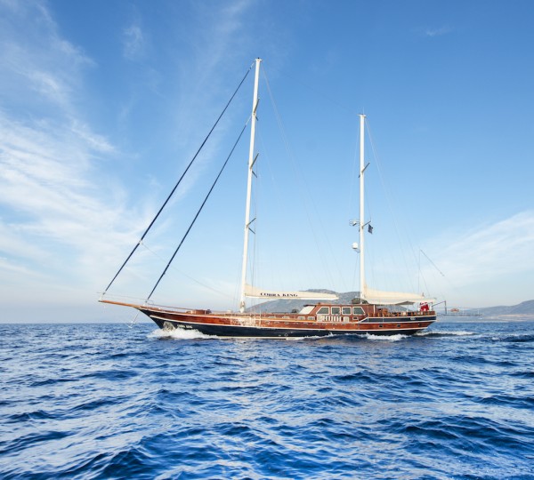 COBRA KING Sailing Yacht