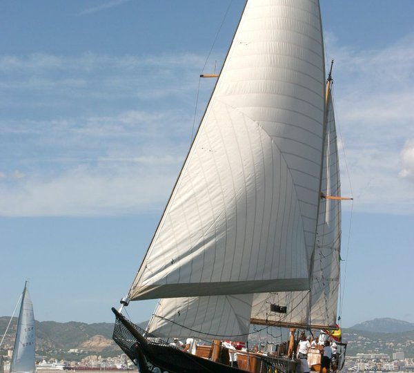 Sail Yacht DOLPHIN - Sailing