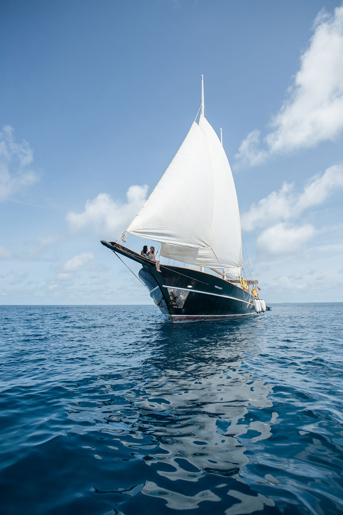 Sailing Dream Voyager