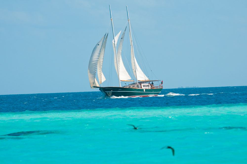 DREAM VOYAGER -  On Charter