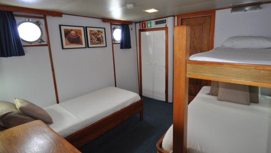 Yacht BELUGA -  Triple Cabin
