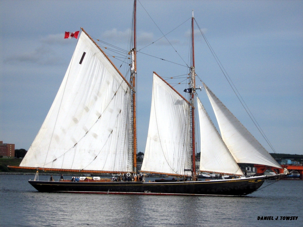 bluenose ii sailboat