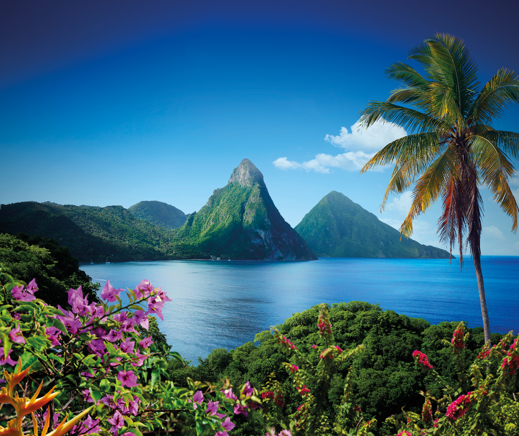 st lucia tourism board