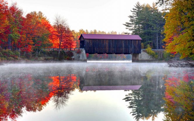 New England Fall Foliage